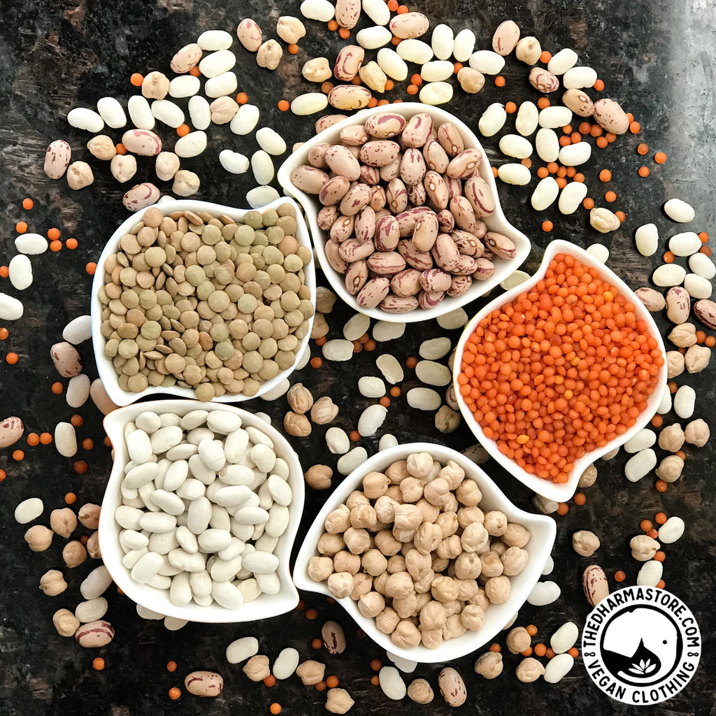 Elevate Your Vegan Diet: High Protein Meal Plans and Tips!