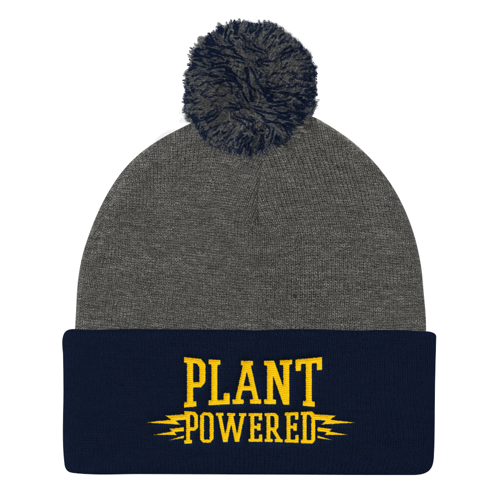 Vegan Beanie Hat - Plant Powered Hat - Grey and Navy