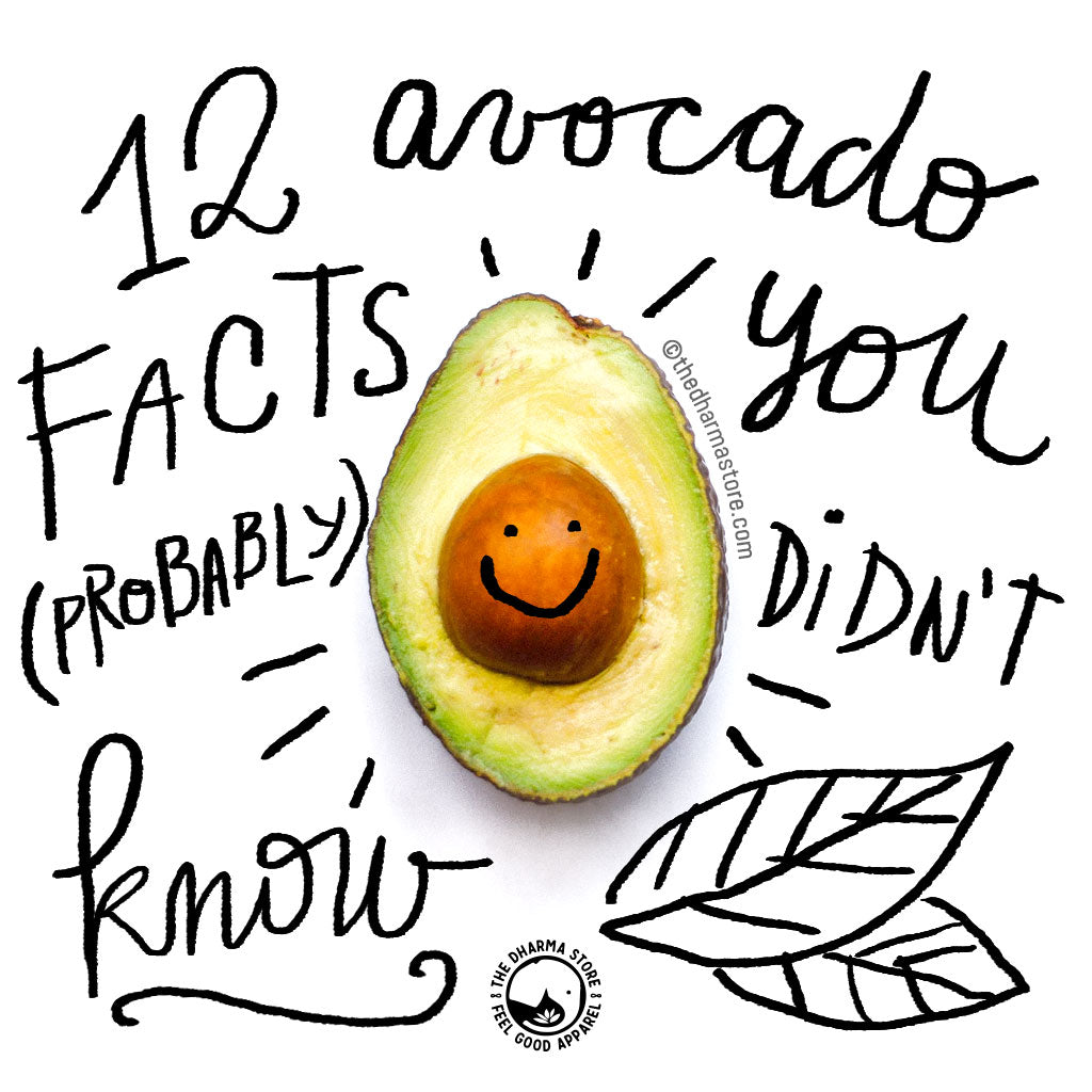 12 Avocado Facts You Probably Didn't Know