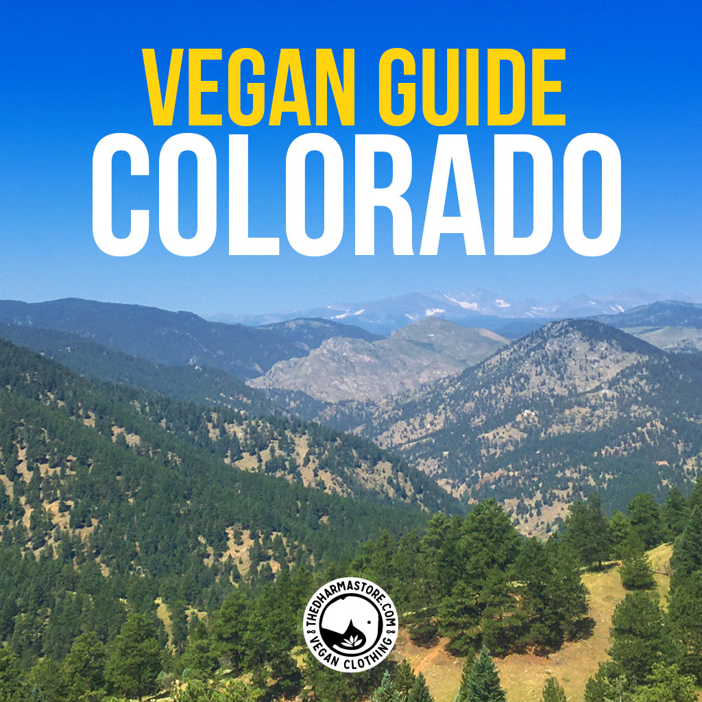 Vegan Restaurants in Colorado: Our Top 3 Picks