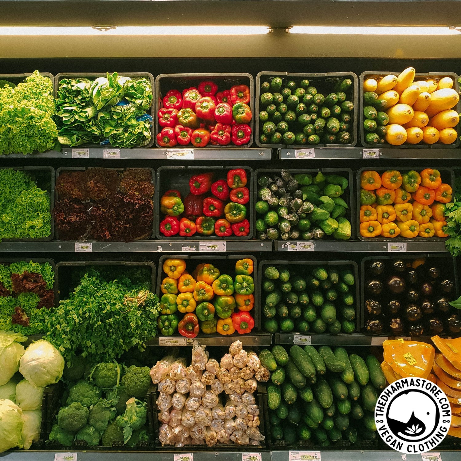 Stocking Up: A Comprehensive Vegan Grocery List for Beginners