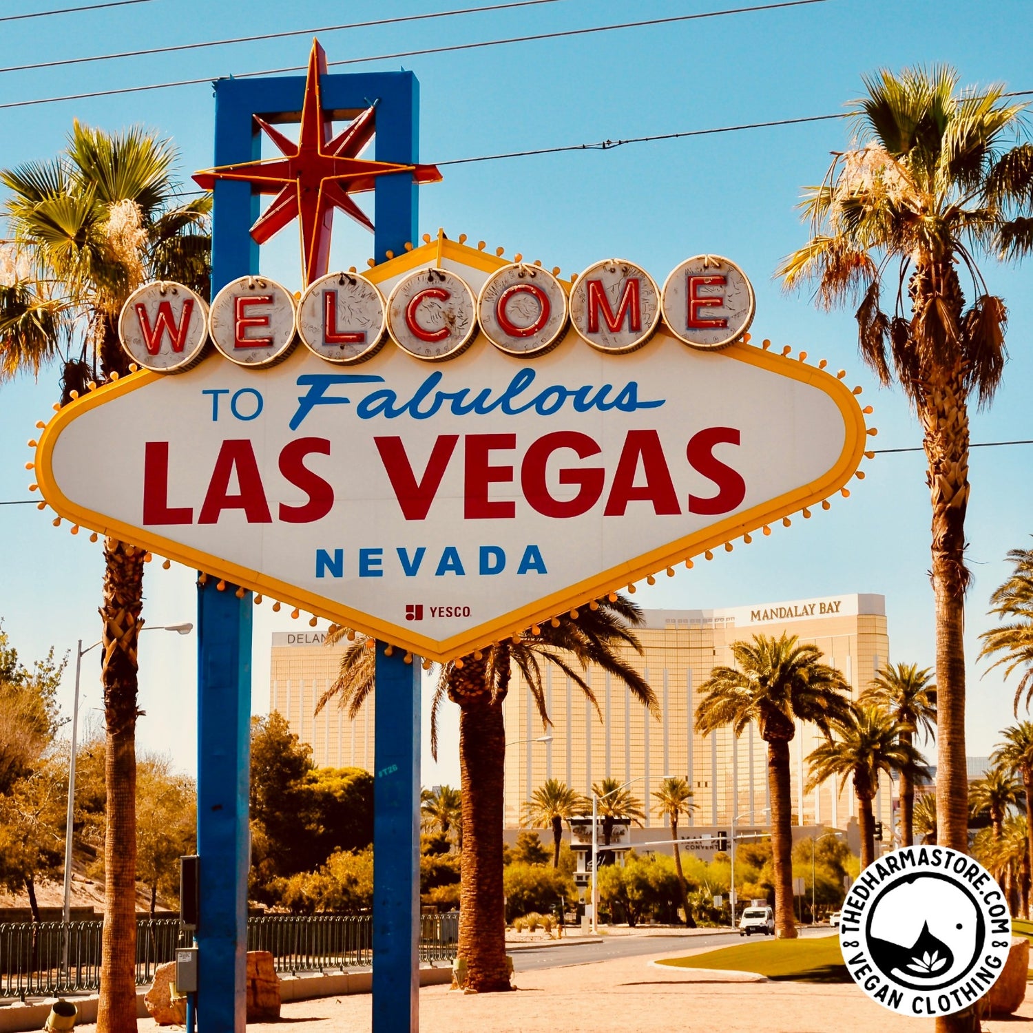 Top 10 Vegan Restaurants in Las Vegas for Sustainable Dining