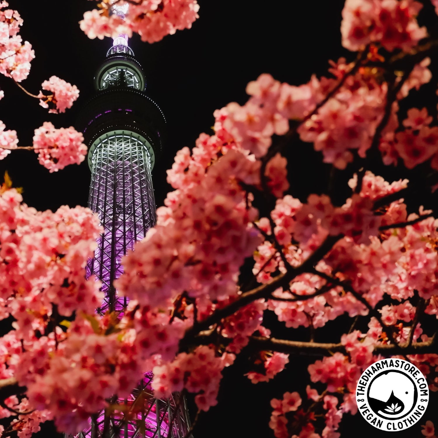 The Ultimate Vegan Guide to Tokyo: Best Eats, Activities, and More!