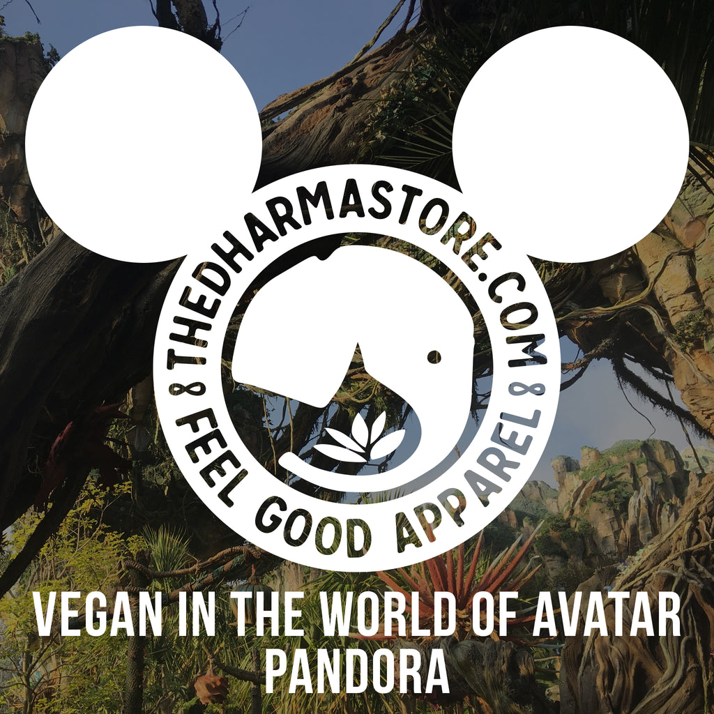 The Dharma Store - Vegan in Pandora